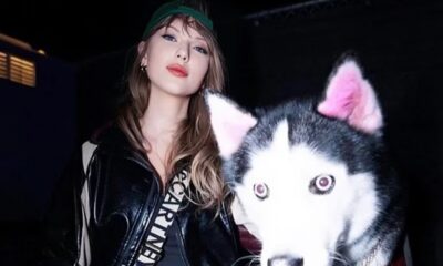 Can We Pet Your Dog?”: Arizona Cardinals to Taylor Swift After Viral Coachella Image Shows Dog Donning ‘Gridbirds’ Jersey