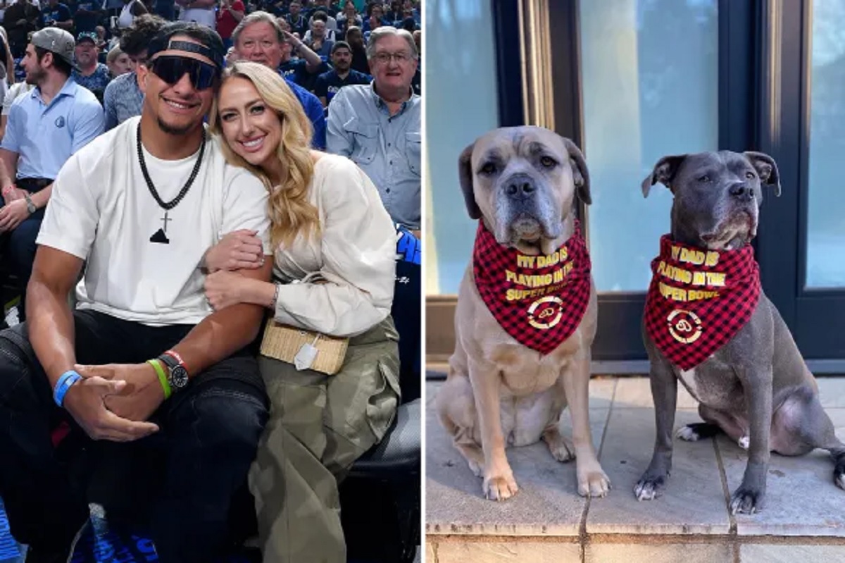 Brittany Mahomes Says Her Dog Steel Was a Gift from Patrick: 'Used to Be a Steelers Fan' (Exclusive)