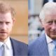 King Charles sets condition for Prince Harry's return