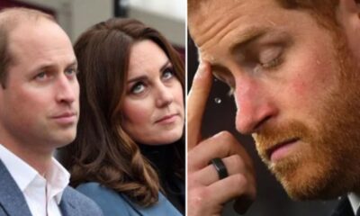Latest Reports Indicate that Prince William and Princess Kate are Reluctant to Forgive Prince Harry, given the significant Distress He has caused the Royal Couple.