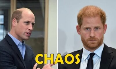 TOP SECRETE :Why Did Prince William Depriving His brother,Prince Harry from his potential return to royal duties and responsibilities within the monarchy??? Experts Believes there is more to these...Find Details