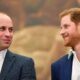 JUST IN: Prince Harry ‘texting William’ about Princess Kate’s cancer even though he was blindsided – See the Content of his text...As Below