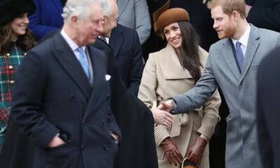 EXCLUSIVE: Royal Fans Labeled and Named King Charles —– For ‘Snubbing’ Prince Harry In The UK Visit...Find More